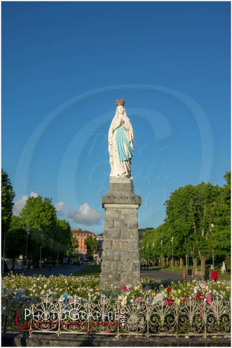 Nom de l'image : 20190511-201249_S1119870_c_Photographie.Pro — Description :  S1119870