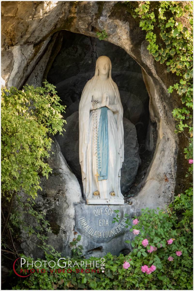 Nom de l'image : 20190511-201850_S1119919_c_Photographie.Pro — Description :  S1119919