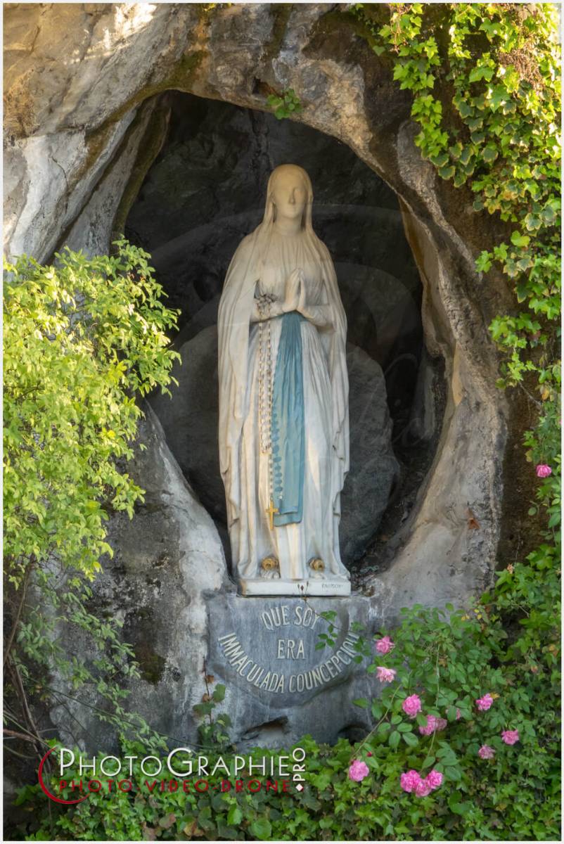 Nom de l'image : 20190511-201850_S1119921_c_Photographie.Pro — Description :  S1119921