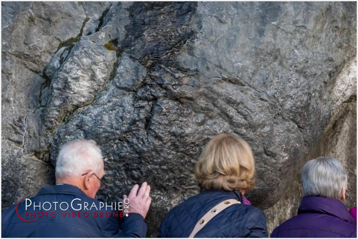 Nom de l'image : 20190511-205026_S1120062_c_Photographie.Pro — Description :  S1120062