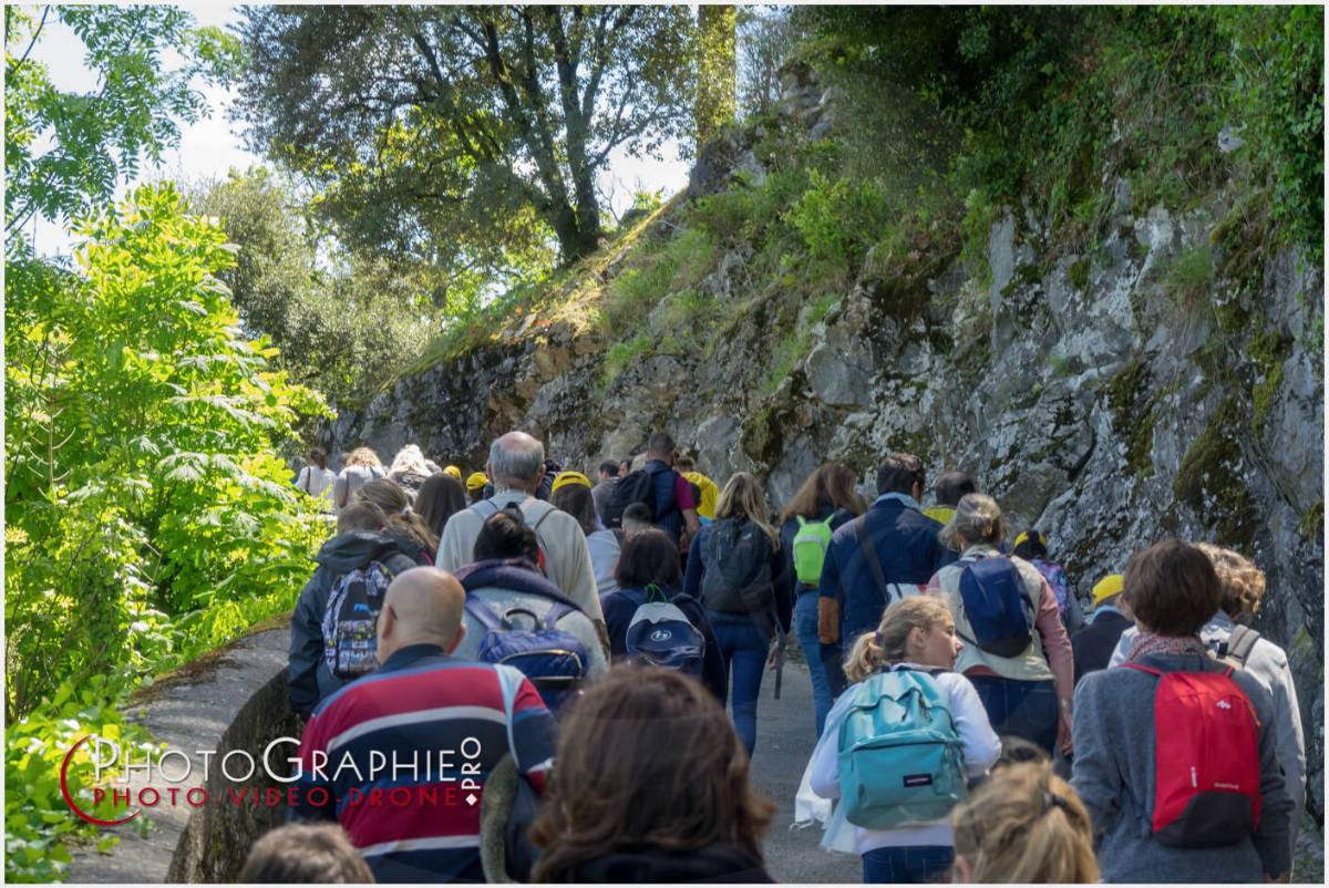 Nom de l'image : 20190512-133558_S1120588_c_Photographie.Pro — Description :  S1120588