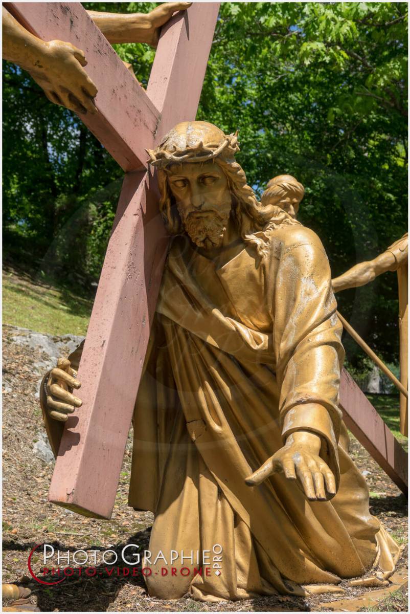 Nom de l'image : 20190512-134420_S1120604_c_Photographie.Pro — Description :  S1120604