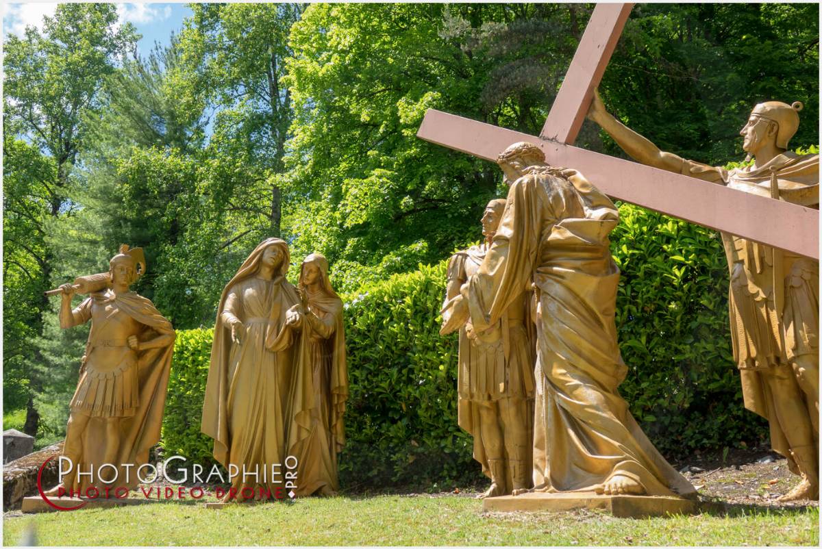 Nom de l'image : 20190512-134631_S1120608_c_Photographie.Pro — Description :  S1120608