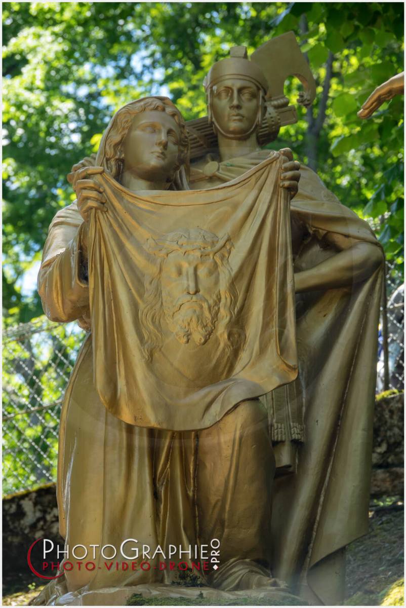 Nom de l'image : 20190512-135133_S1120612_c_Photographie.Pro — Description :  S1120612