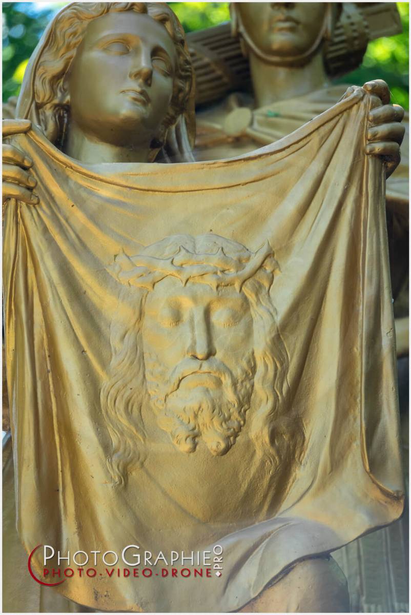 Nom de l'image : 20190512-135140_S1120614_c_Photographie.Pro — Description :  S1120614