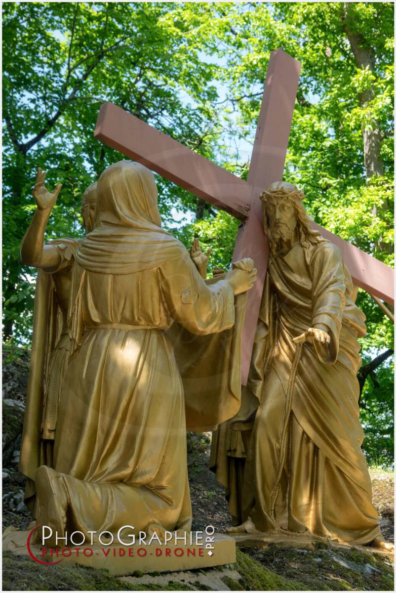 Nom de l'image : 20190512-135203_S1120616_c_Photographie.Pro — Description :  S1120616