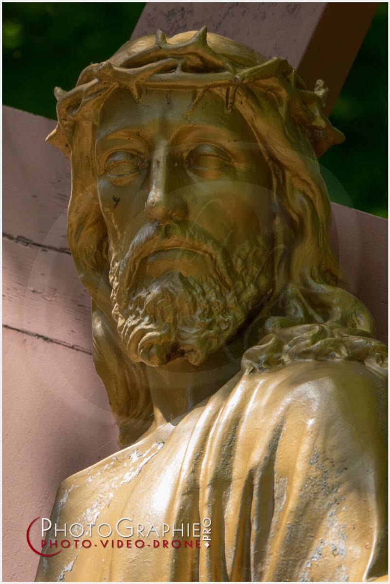 Nom de l'image : 20190512-135514_S1120621_c_Photographie.Pro — Description :  S1120621