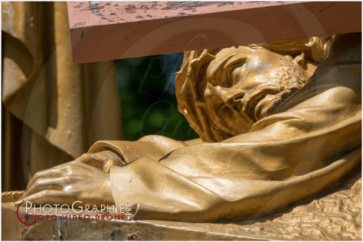 Nom de l'image : 20190512-135743_S1120628_c_Photographie.Pro — Description :  S1120628