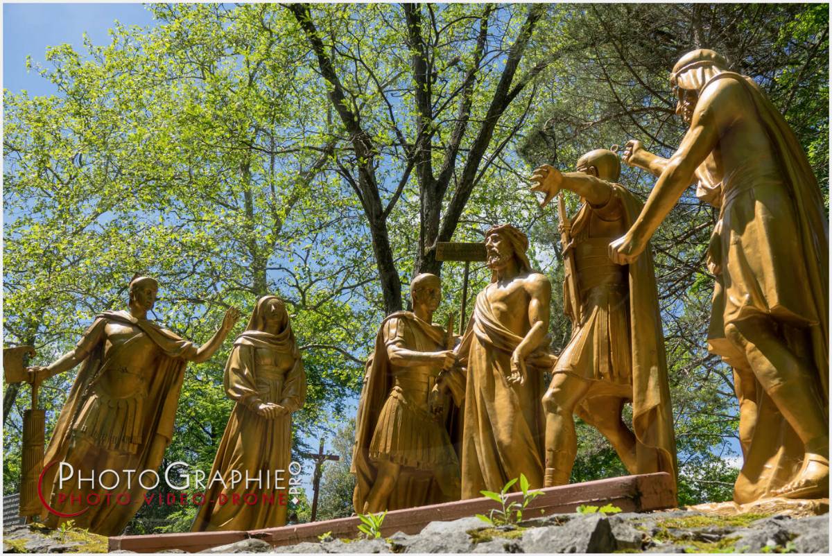 Nom de l'image : 20190512-140046_S1120631_c_Photographie.Pro — Description :  S1120631