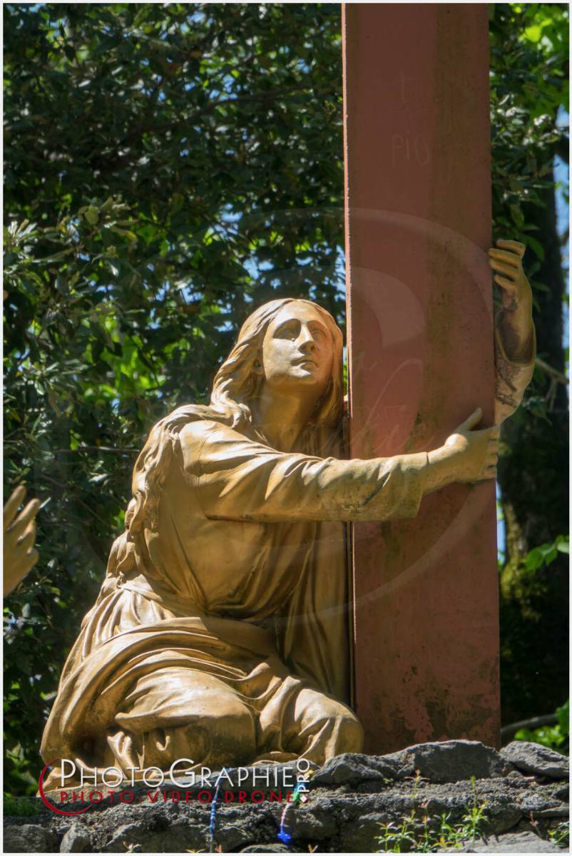 Nom de l'image : 20190512-140832_S1120636_c_Photographie.Pro — Description :  S1120636