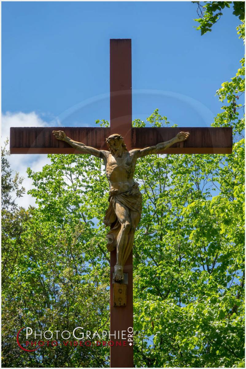 Nom de l'image : 20190512-140839_S1120637_c_Photographie.Pro — Description :  S1120637