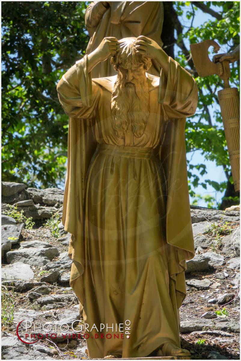 Nom de l'image : 20190512-140911_S1120640_c_Photographie.Pro — Description :  S1120640