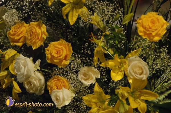 Nom de l'image : E00026931-1 — Description :