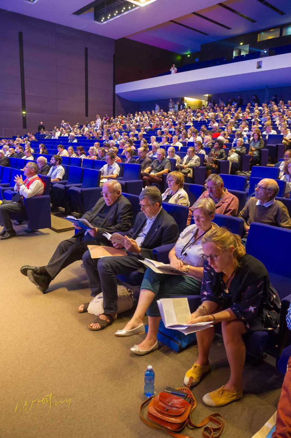 Nom de l'image : 010-D3s1153365 — Description :