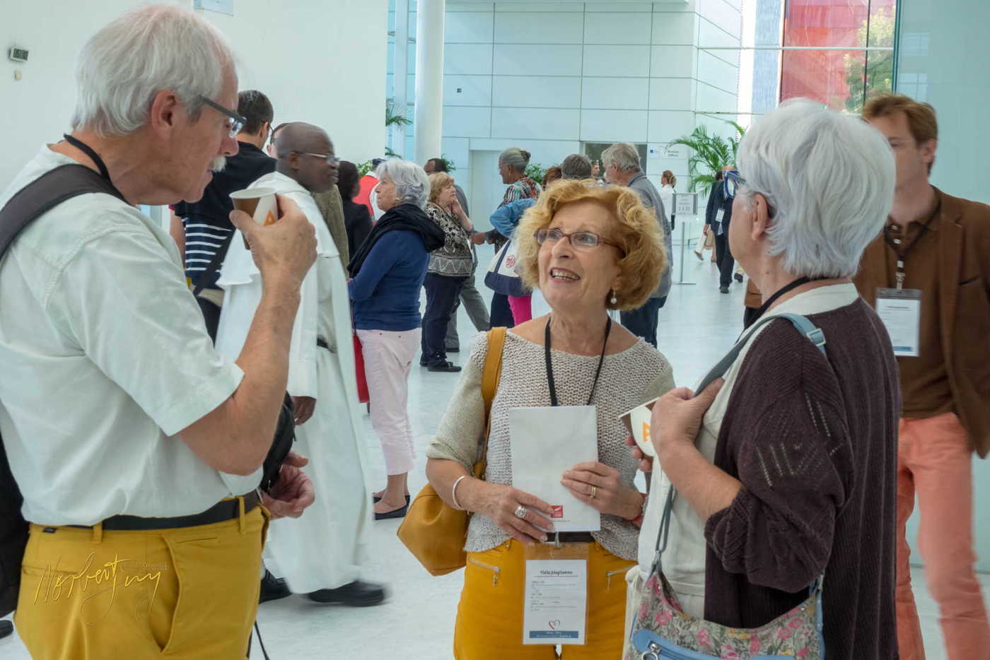 Nom de l'image : 223-S1101049 — Description :  S1101049