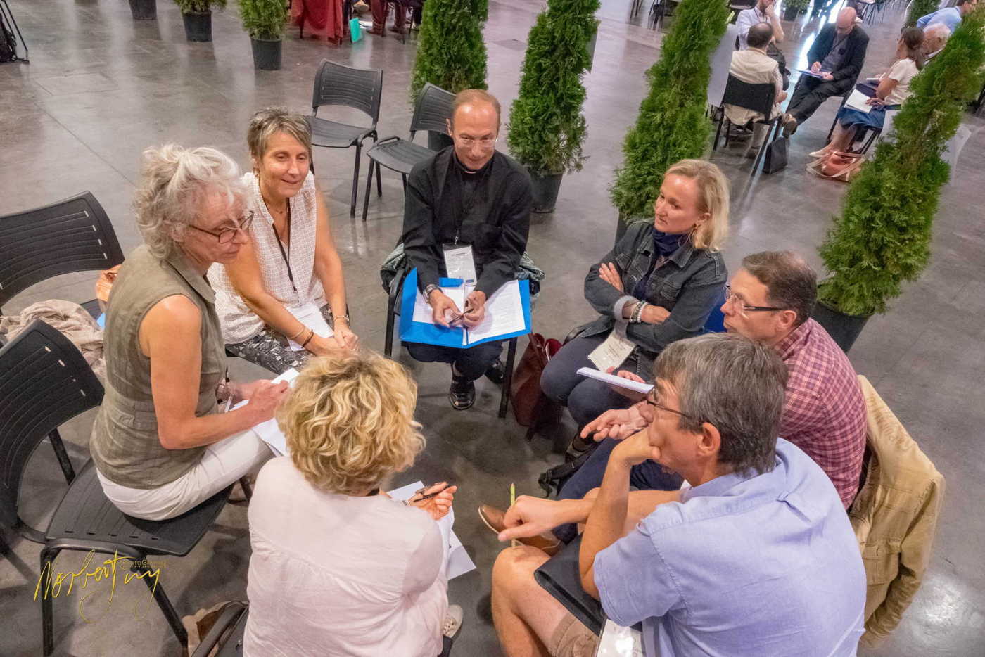 Nom de l'image : 230-S1101094 — Description :  S1101094