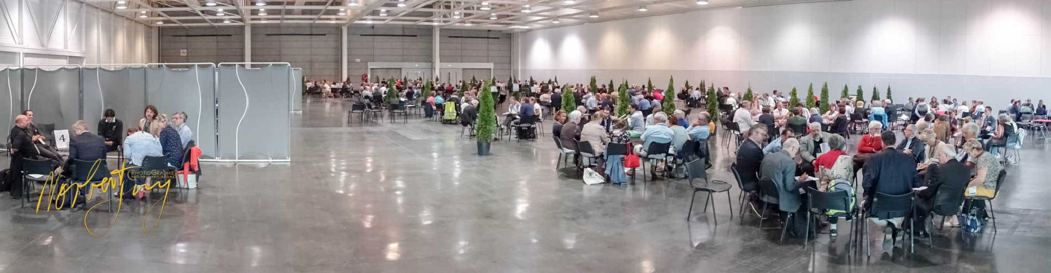 Nom de l'image : 242-S1101168 — Description :  S1101168