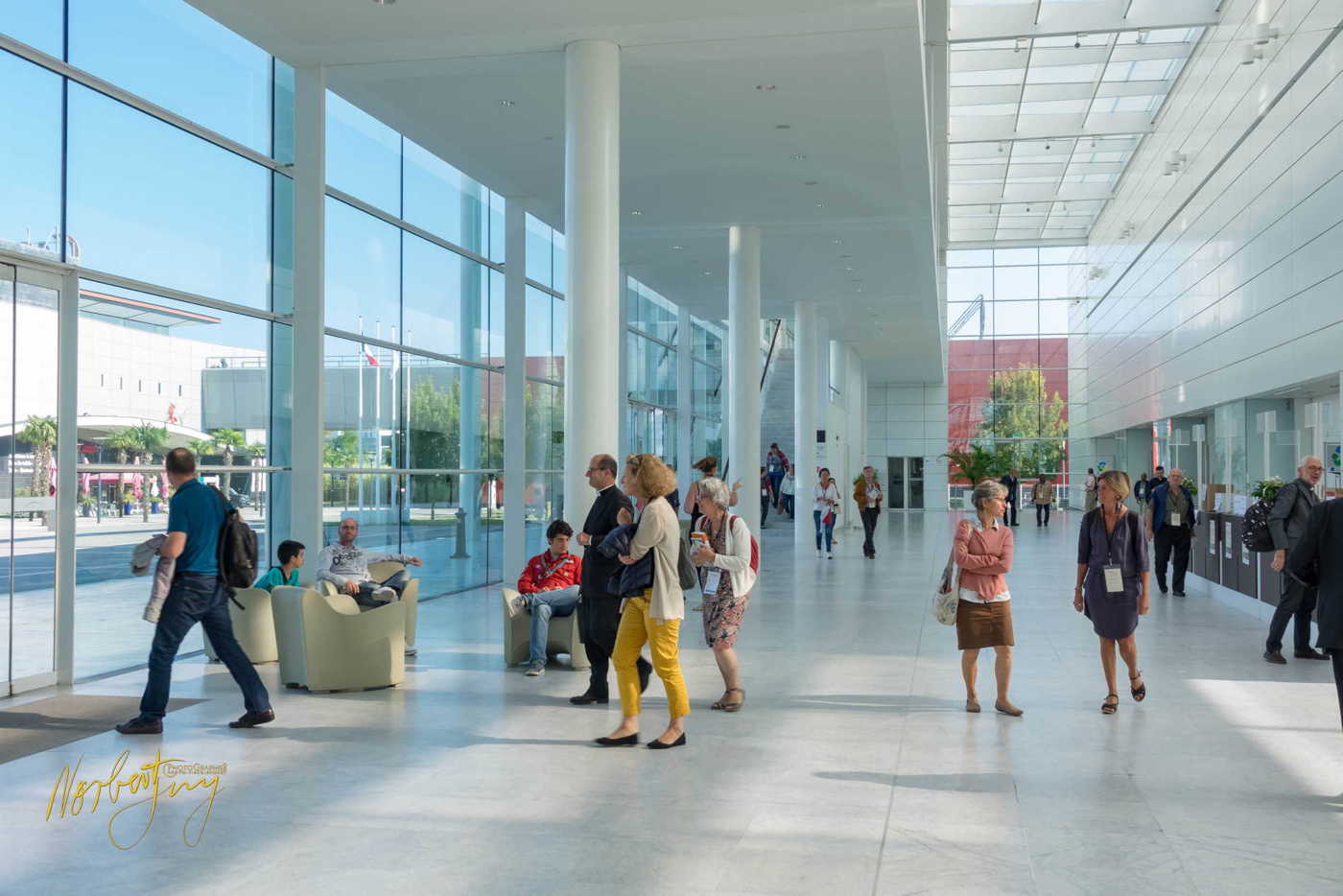 Nom de l'image : 260-S1101305 — Description :  S1101305