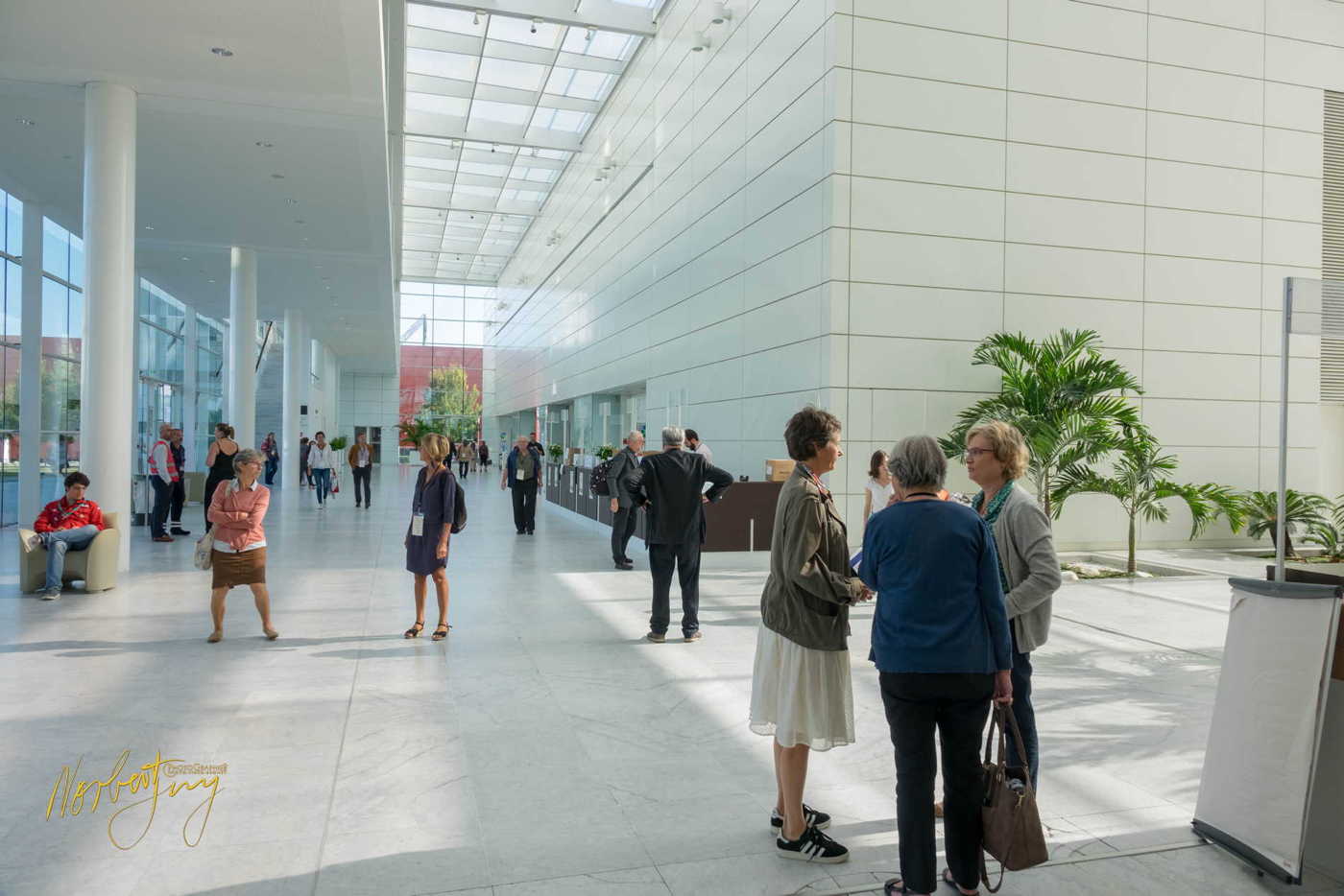 Nom de l'image : 261-S1101307 — Description :  S1101307