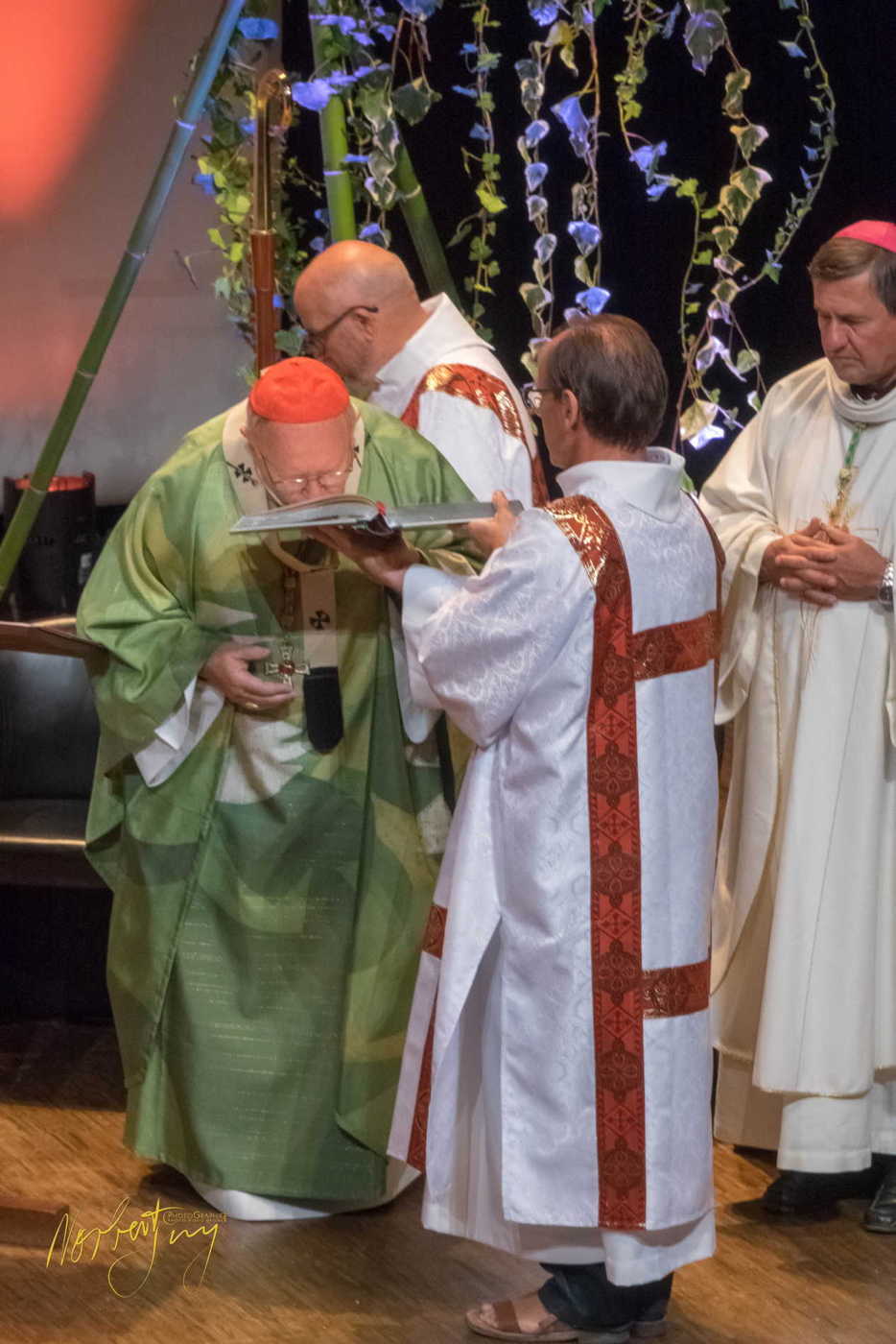 Nom de l'image : 289-S1101381 — Description :  S1101381