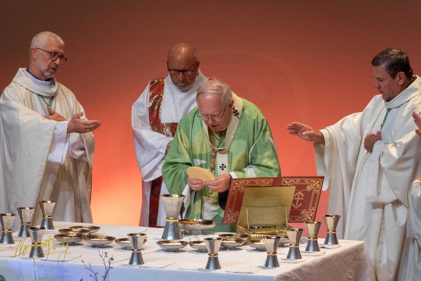 Nom de l'image : 305-S1101464 — Description :  S1101464