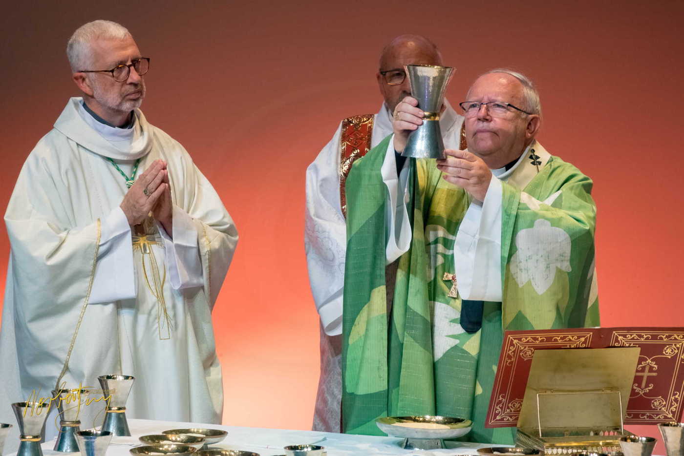 Nom de l'image : 310-S1101478 — Description :  S1101478