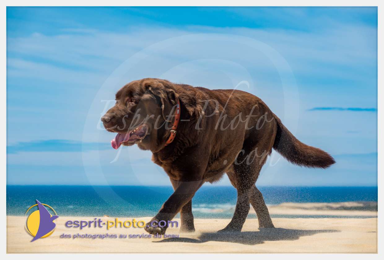 Nom de l'image : S1018344_(c)esprit-photo.com — Description :