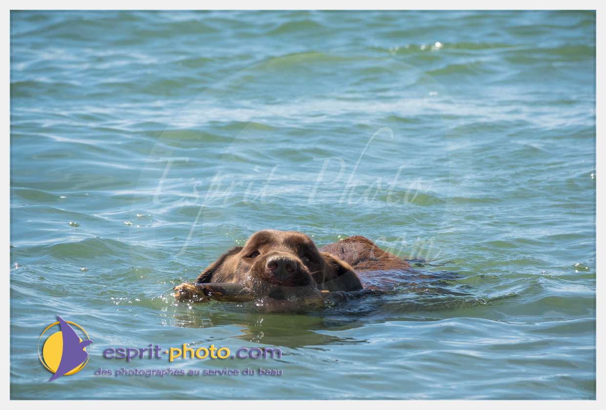 Nom de l'image : S1018744_(c)esprit-photo.com — Description :