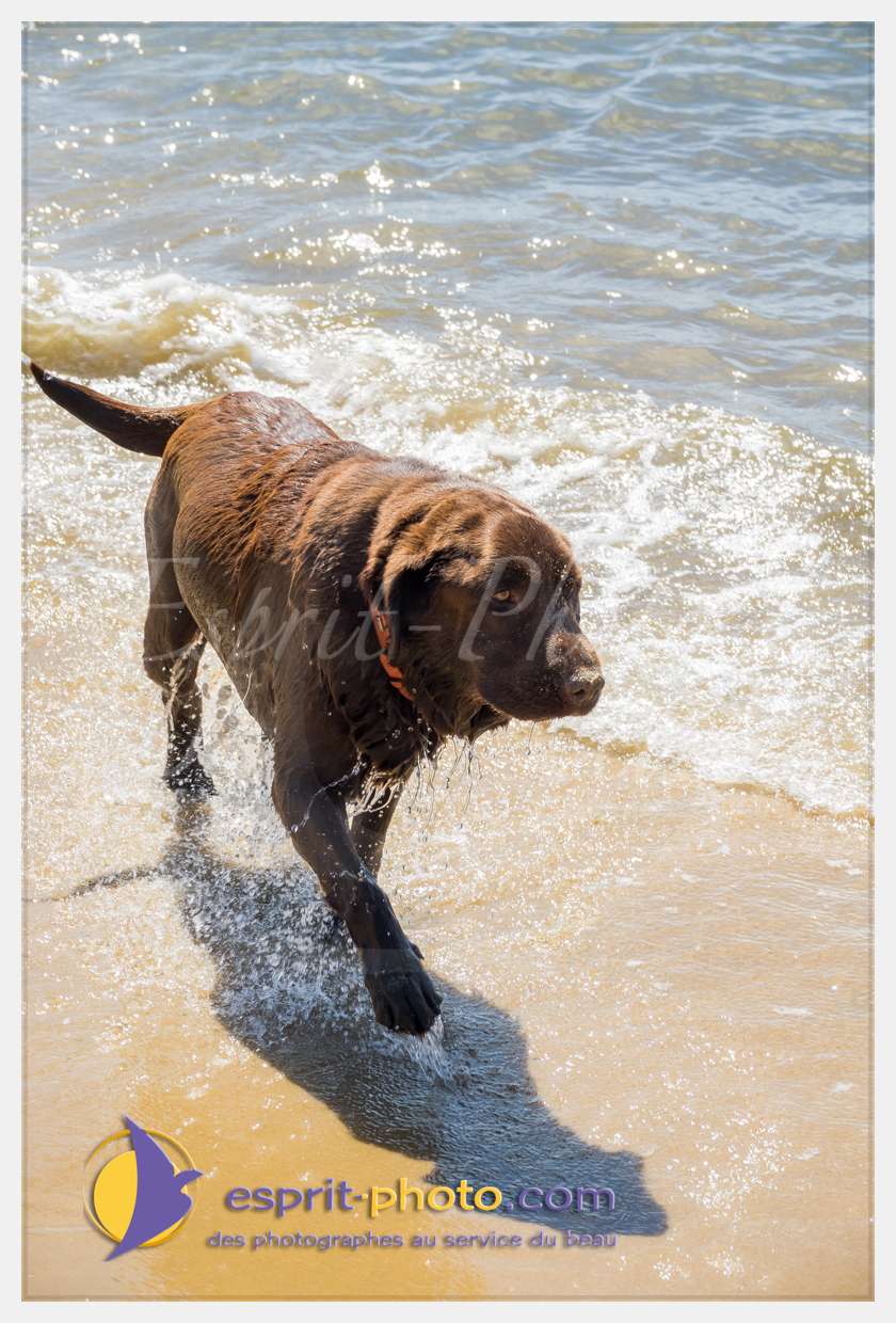 Nom de l'image : S1018764_(c)esprit-photo.com — Description :