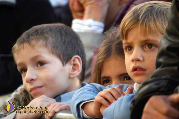 Nom de l'image : D1188695-1 — Description :  Paris - Toussaint 2004