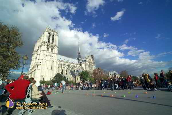 Nom de l'image : D1188G413-1 — Description :  Paris - Toussaint 2004