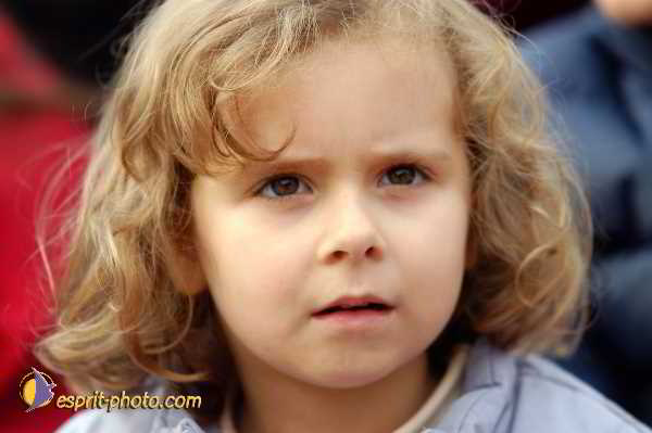 Nom de l'image : D1190949-1 — Description :  Paris - Toussaint 2004