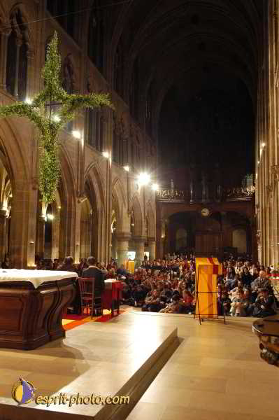 Nom de l'image : D1190506-1 — Description :  Paris - Toussaint 2004