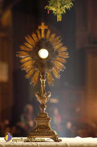 Nom de l'image : D1190560-1 — Description :  Paris - Toussaint 2004