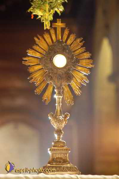 Nom de l'image : D1190566-1 — Description :  Paris - Toussaint 2004