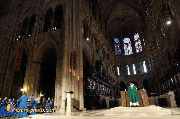 Nom de l'image : D1187628-1 — Description :