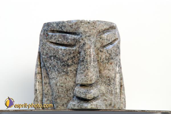 Nom de l'image : D1143547-nef-01 — Description :