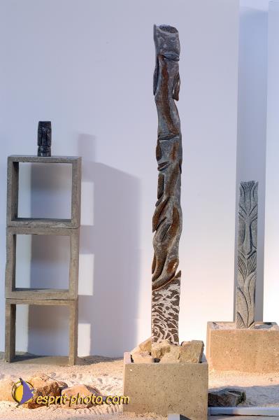 Nom de l'image : D1143552-nef-01 — Description :