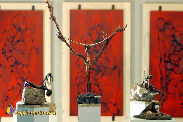 Nom de l'image : D1192364-nef-1 — Description :  Paris - Toussaint 2004