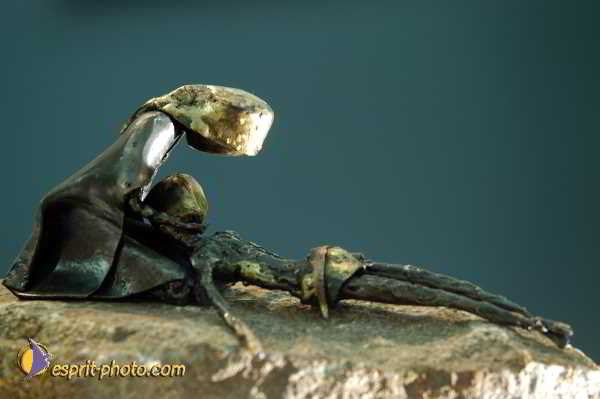 Nom de l'image : D1192377-nef-1 — Description :  Paris - Toussaint 2004