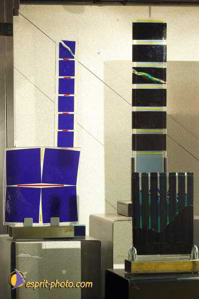 Nom de l'image : D1192393-nef-1 — Description :  Paris - Toussaint 2004