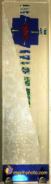 Nom de l'image : D1192394-nef-2 — Description :  Paris - Toussaint 2004