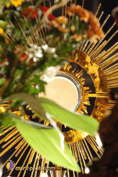 Nom de l'image : D1191635-1 — Description :  Paris - Toussaint 2004