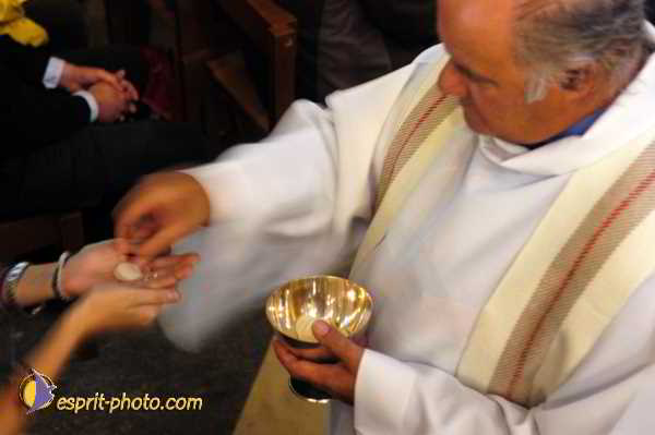 Nom de l'image : D1191026-1 — Description :  Paris - Toussaint 2004