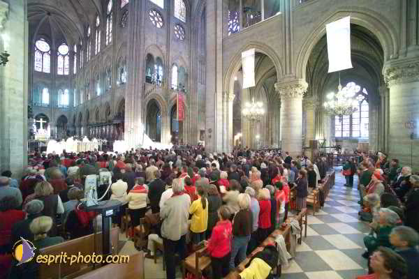 Nom de l'image : D1191G722-1 — Description :  Paris - Toussaint 2004