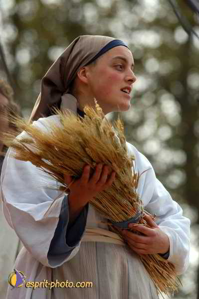 Nom de l'image : D1190966-1 — Description :  Paris - Toussaint 2004