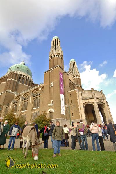 Nom de l'image : BT2006_6861_D2194913_1 — Description :