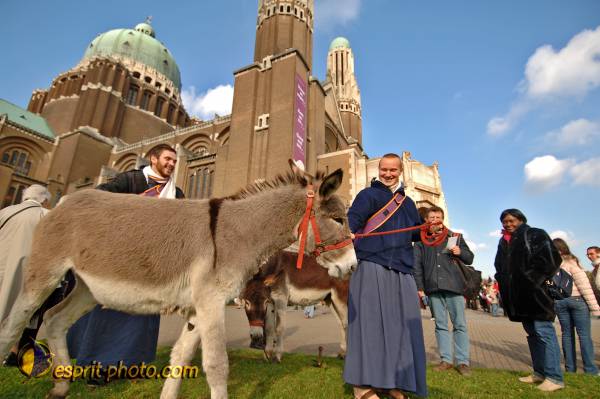 Nom de l'image : BT2006_6891_D2194943_1 — Description :