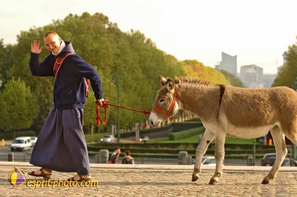 Nom de l'image : BT2006_6915_D2194967_1 — Description :