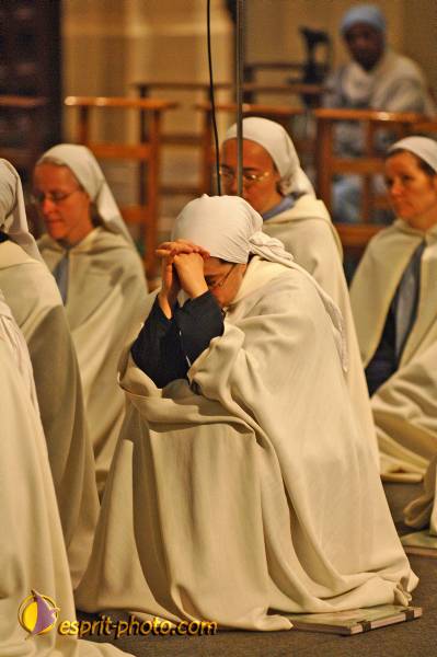 Nom de l'image : BT2006_1711_D2190163_1 — Description :